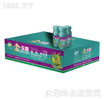 30%��������ݬȥ��-�����-���˹����r��