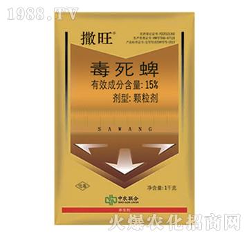 15%������-����-���r(n��ng)(li��n)��