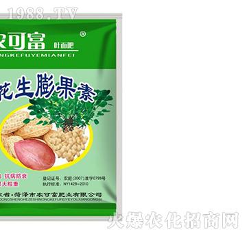 ���������-�r�ɸ�