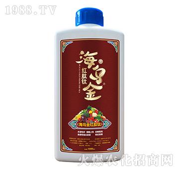 �t����-������-��������