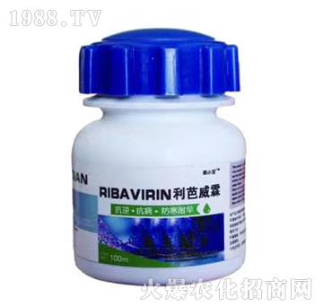 ��������-��С��-��M�@����