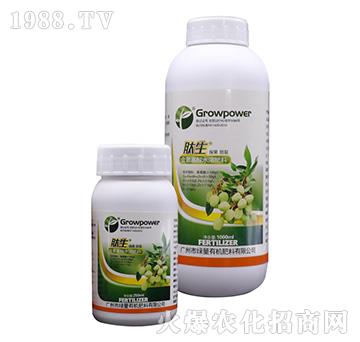 ��������ˮ�ܷ���-�������������ѣ�-�G��