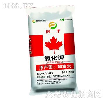 �r�I(y��)�ô��w���Ȼ��-���S�}��