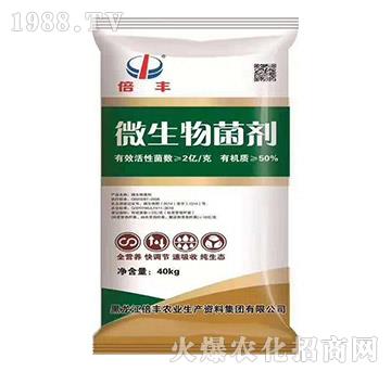 ΢�������-���S�}��