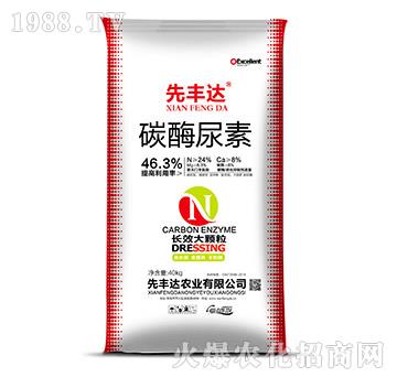 ̼ø����-���S�_