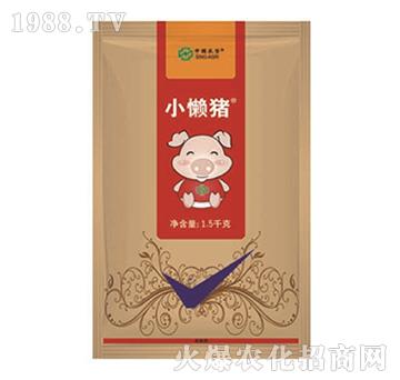 2%���x��-С���i-��