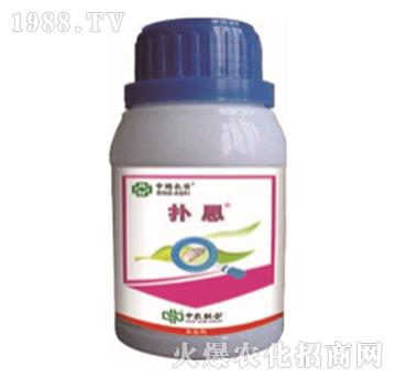 25%���ͪ-��˼-���r(n��ng)(li��n)��