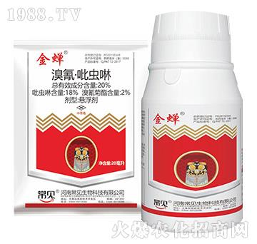 20%���衤���x(ch��ng)��-���s-��ʯ����