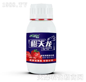 ���������(zhu��n)��-������-���Ɓ�