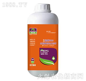 ��̼ø�ЙC�����-���ܻ��580-����ɭ