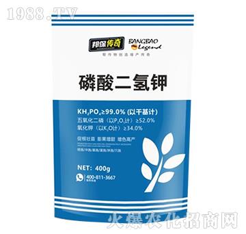 ��������-�����-��ʘI(y��)