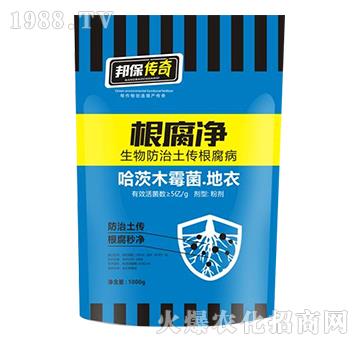 ������-�����-��ʘI(y��)