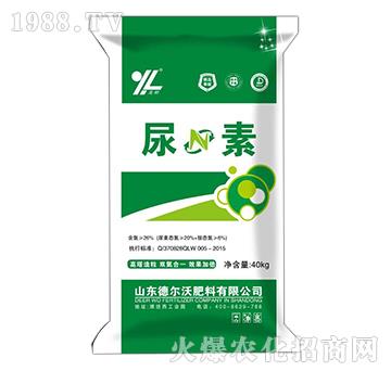 ����-���-� ���