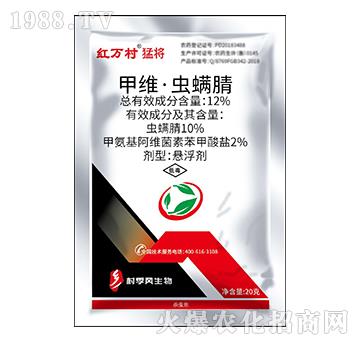 12%�׾S���x����-�͌�-���˹����r��