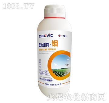 �W�S�ˡ��f-�A�˱���