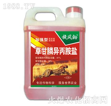 41%�ݸ�좮������}���ӏ��ͣ�-���L�z-�ݵ�˹