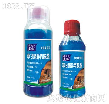 41%�ݸ�좮������}-�{�z-�ݵ�˹