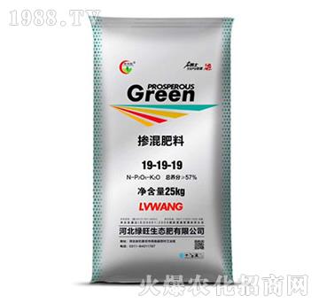 �������19-19-1