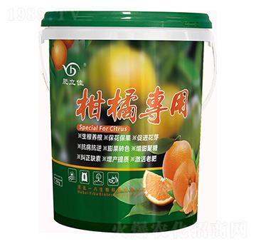 ���ٌ���-������-һ������