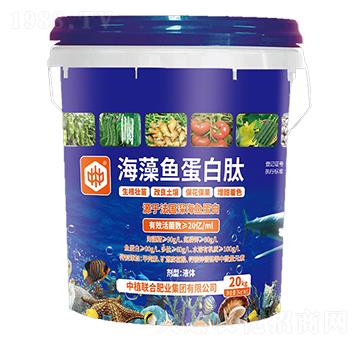 �����~(y��)������-��ֲ(li��n)��