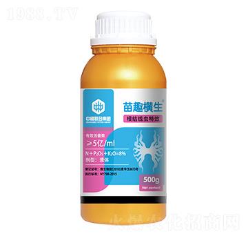 ���Y(ji��)���x(ch��ng)����-��Ȥ�M��-��ֲ(li��n)��