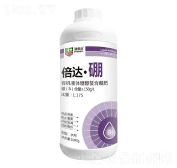 1000g���_(d��)����-���_(d��)