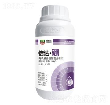 300g���_����-���_