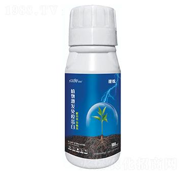 ֲ�Ｄ�l(f��)���ߵ���-����-��ɭ