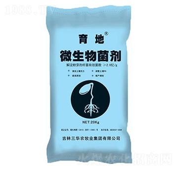 ΢�������-����-�A�оGɫ