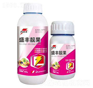 ʢ�S�n��-����