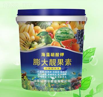 ����n����-�G�����ʘI(y��)