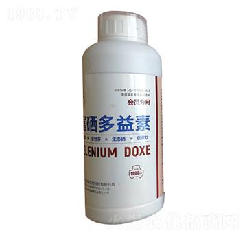 ����������-�R�̝�(r��n)��