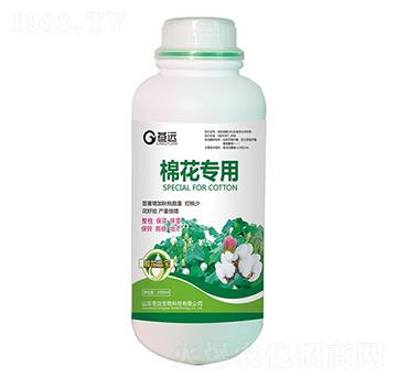 �޻�����-�n�h����