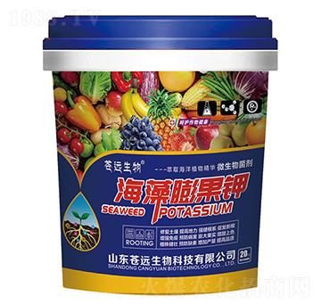 ��������-�n�h����