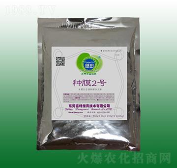 �NĤ2̖(h��o)��������N����-��������