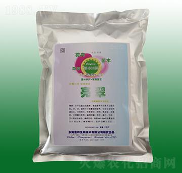 �����~���-��������