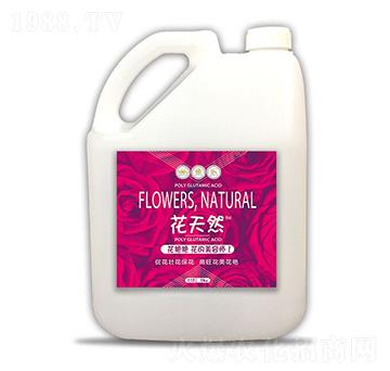 5kg���������I�B(y��ng)Һ-�ۺ͸�-����Ȼ