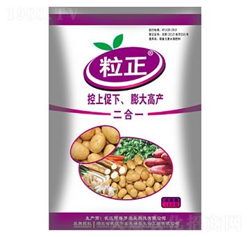 �K�o������-����-ʢ������