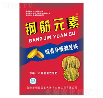 䓽�Ԫ��-ʢ������