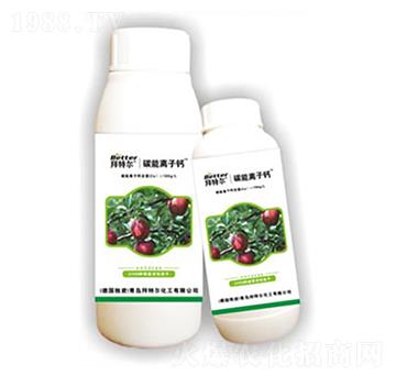 �O��̼���x���}-���ؠ�