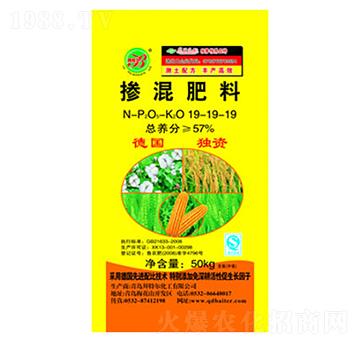 �������19-19-1