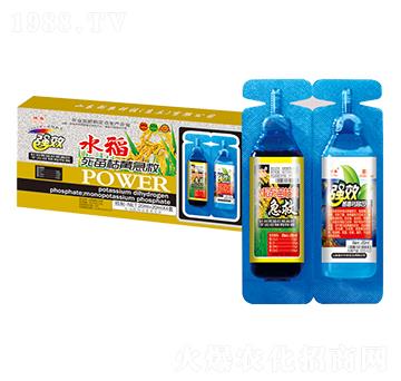 水稻死苗黃急救-新農(nóng)