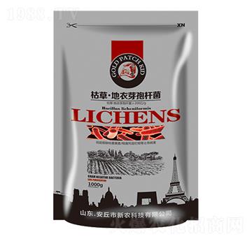 �ݲݵ���ѿ�ߗU��-���r(n��ng)