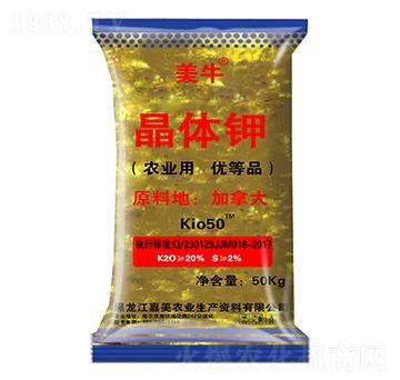 ���w�-��ţ-����