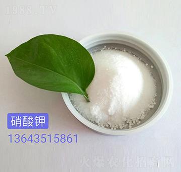 �����-��������