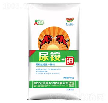 ���@+�-�P���ƻ�-�ƻ����r