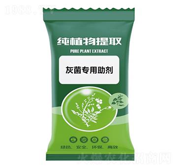 �Ҿ���������-ǧ���