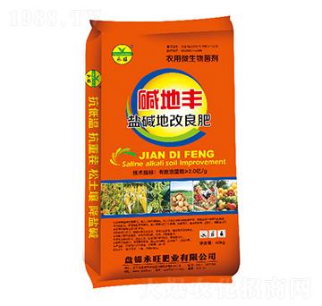 �}�A�ظ�����-�A���S-�����ʘI(y��)