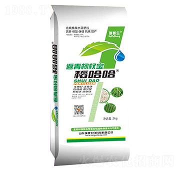 ����²挚-������-��������