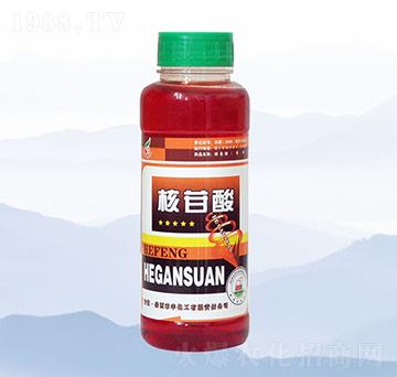 ������-���S